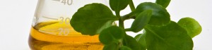 Natural-Chemistry-dreamstime