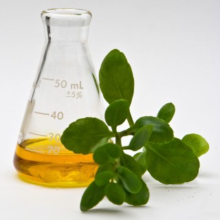 biomaterials