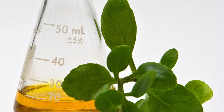 biomaterials