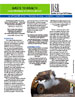 2007wtwreport
