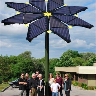 agenergy_sunflower 1