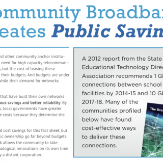 PublicSavingsLarge