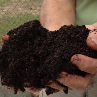 Compost Hands closeup