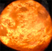 sun.jpg